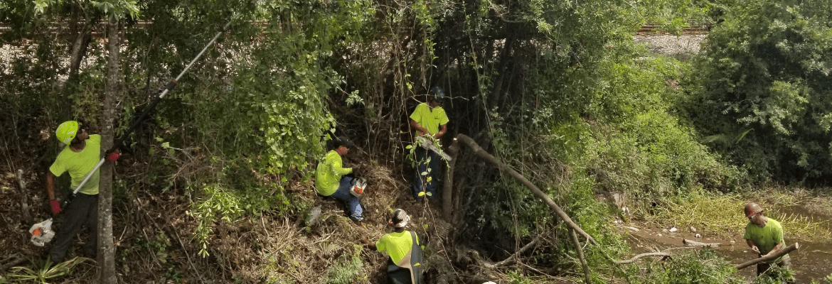 Everwood Environmental