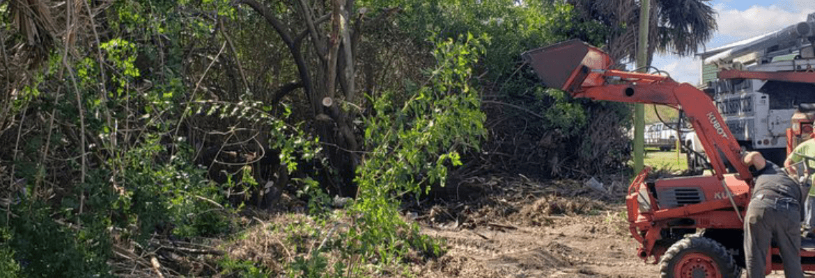 Everwood Environmental