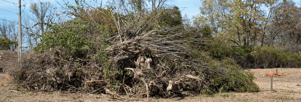 Everwood Environmental